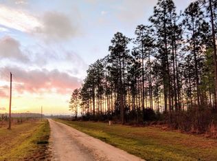 637 SE Pebble Ridge St, Lee, FL 32059