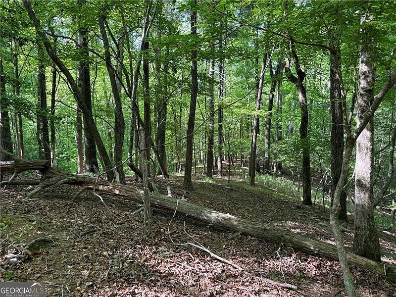 1st image of 0 High Shoals Dr