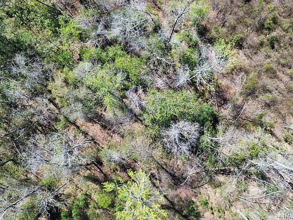 Dji Fly 20260317 132926 503 1773768701664 Photo Optimized