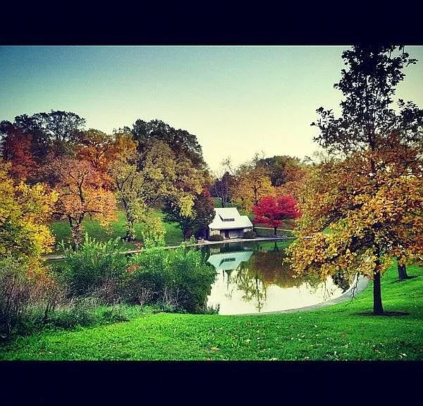 Inwood Park. Perfect for the your dog walk
