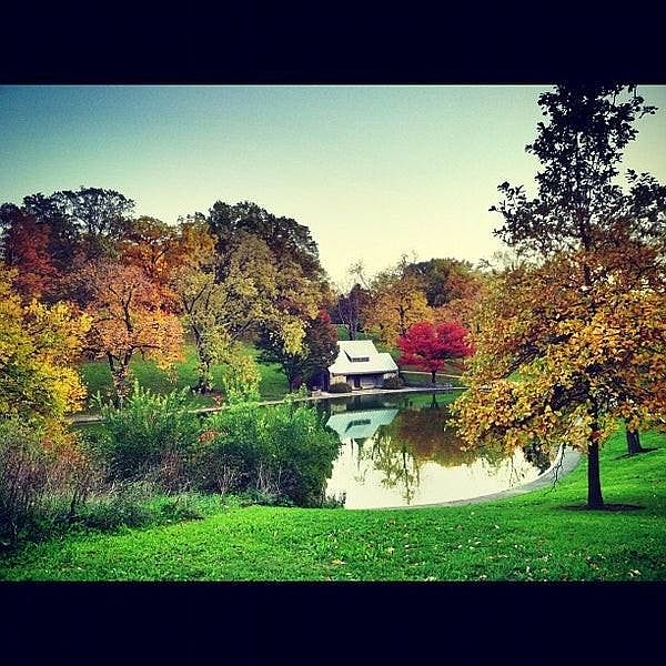 Inwood Park. Perfect for the your dog walk