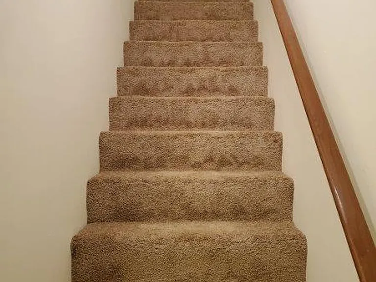 137 Brian Ct — Photo 13