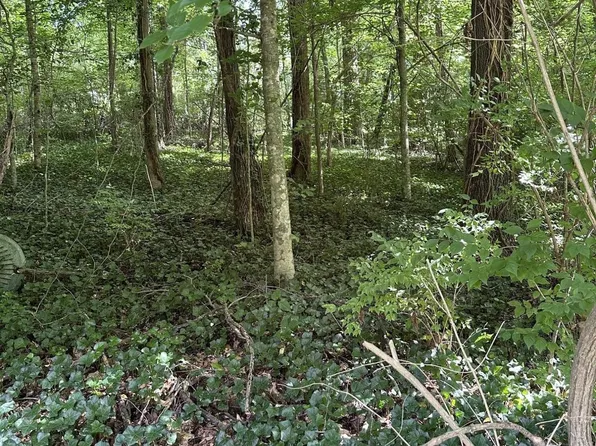 2506 Shaler Ln Lot 25, Knoxville, TN 37920