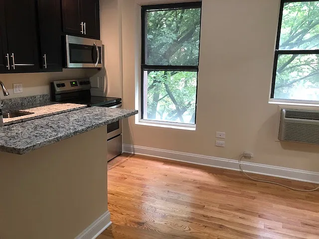 1430 N Dearborn Pkwy — Photo 8