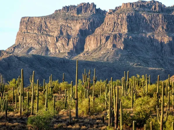 702 S Meridian Rd #102, Apache Junction, AZ 85120