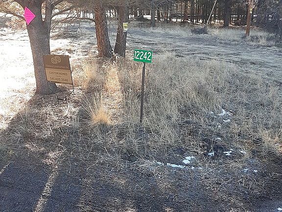 2nd image of 12242 Larchwood Dr