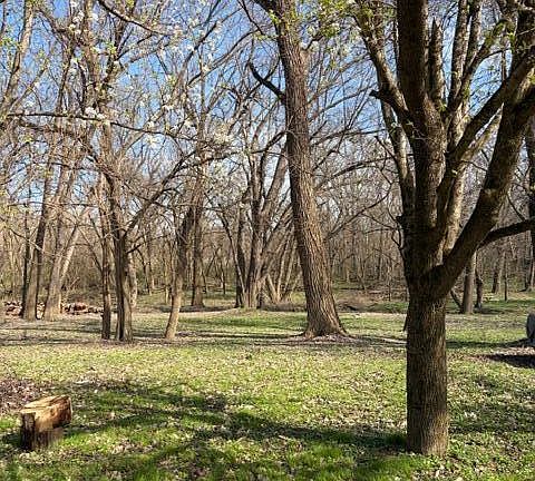 5th image of 126 Riverside Dr