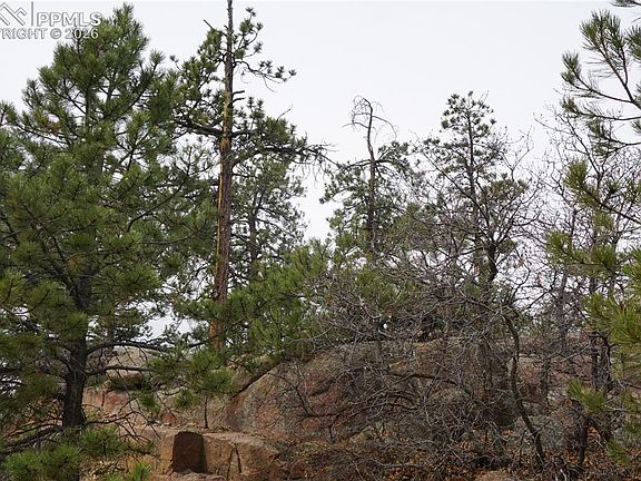4th image of 1893 Arapahoe Dr