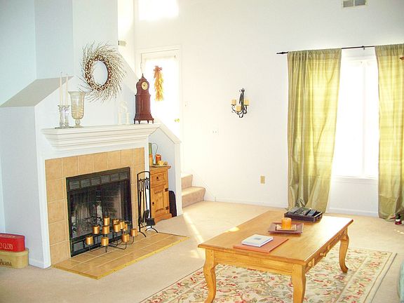 Wood Burning Fireplace