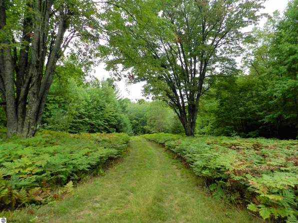 0 Bobcat Trl, Kalkaska, MI 49646