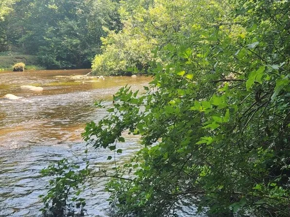 1258 N Birch St, White Cloud, MI 49349