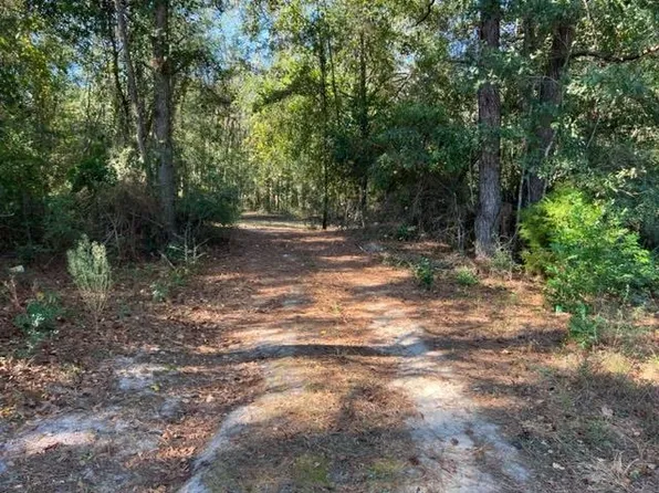 W Paulk Ave, Opp, AL 36467