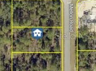 MELLON ROAD LOT 23, WEEKI WACHEE, FL 34614