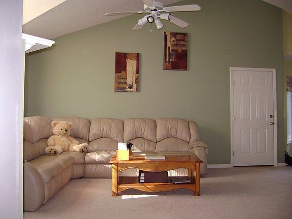 Living with tray ceiling