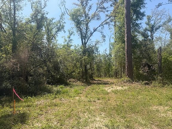 3rd image of 0 SW 77th Blvd
