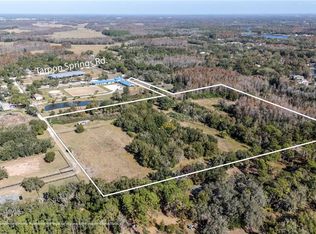 11560 Tarpon Springs Rd, Odessa, FL 33556