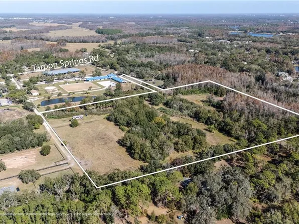 0 Tarpon Springs Rd, Odessa, FL 33556