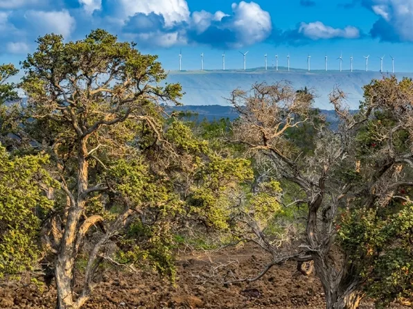 Bougainvillaea Dr, Ocean View, HI 96737