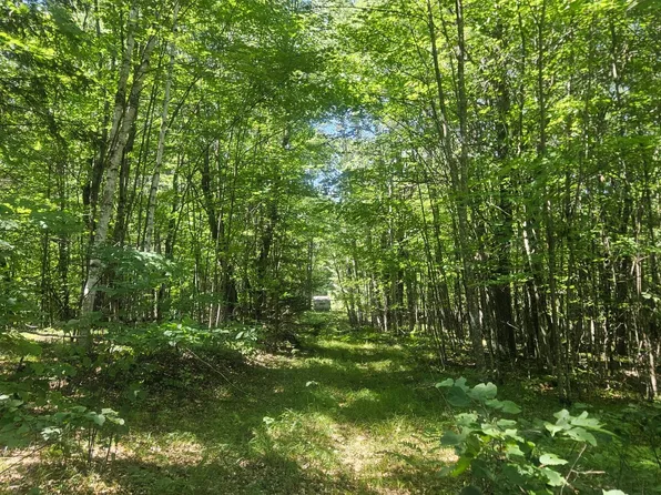 Oak Ridge Rd, Amberg, WI 54102