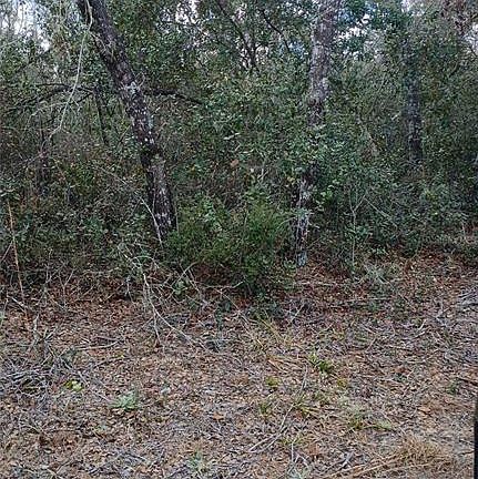 5th image of TBD NE 234 PLACE LOT 19
