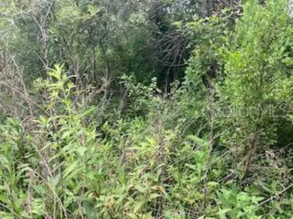 Sweetwater Trl, Kissimmee, FL 34747