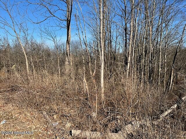 2nd image of 1171 Maple Hill Road