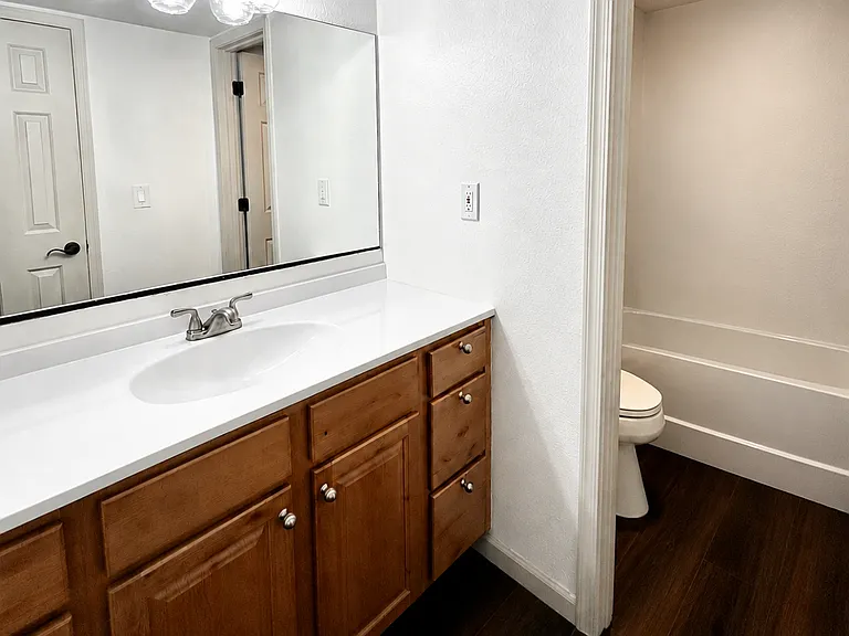 Bathroom features a large vanity, a separate toilet area with privacy door and shower/tub combo