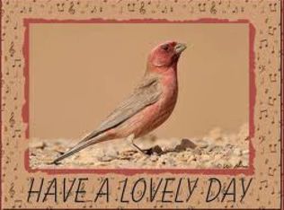 12351 Yorba Ave, Chino, CA 91710