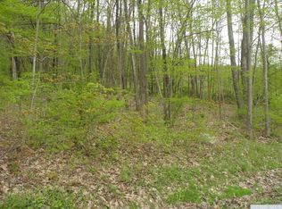 0 Hall Hill Rd, Ancram, NY 12502
