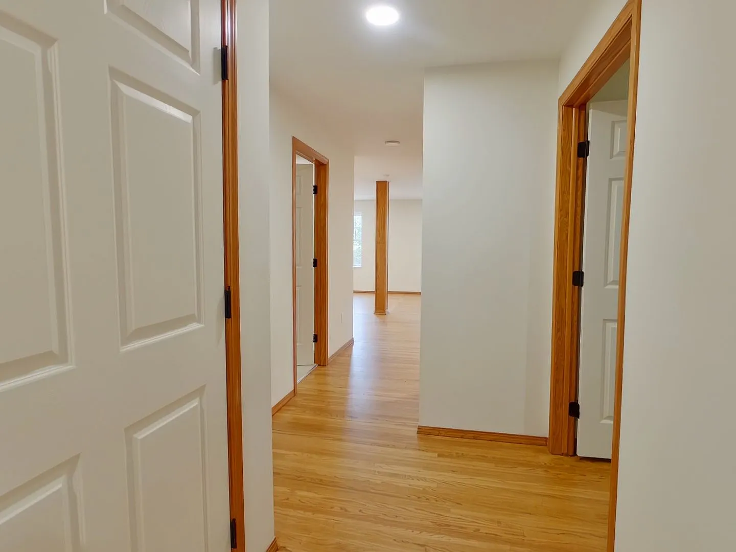 1401 E Douglas Ave — Photo 3