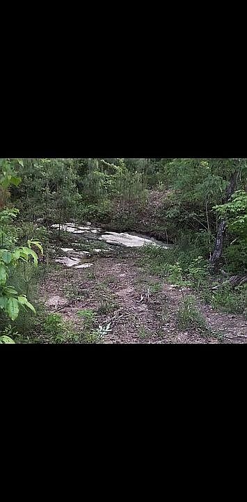 2nd image of 7251 Bluegrass Ln #12