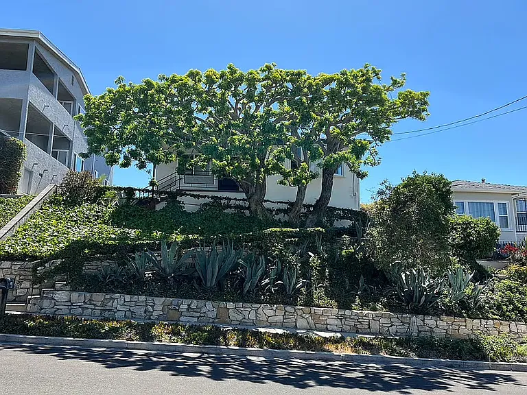Exterior with beautiful Pepper Tree