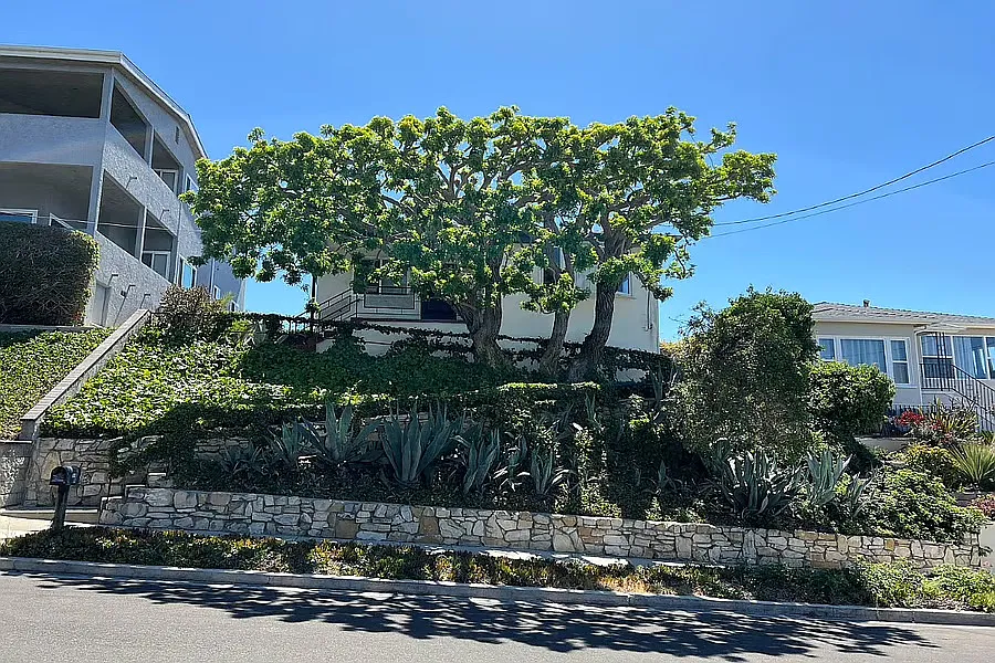 Exterior with beautiful Pepper Tree - 3614 S Emily St