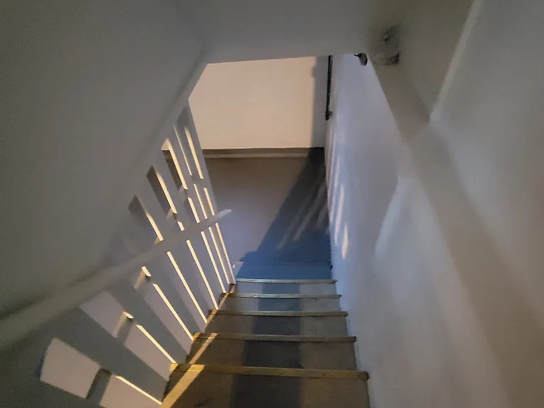Newly painted staircase to basement.