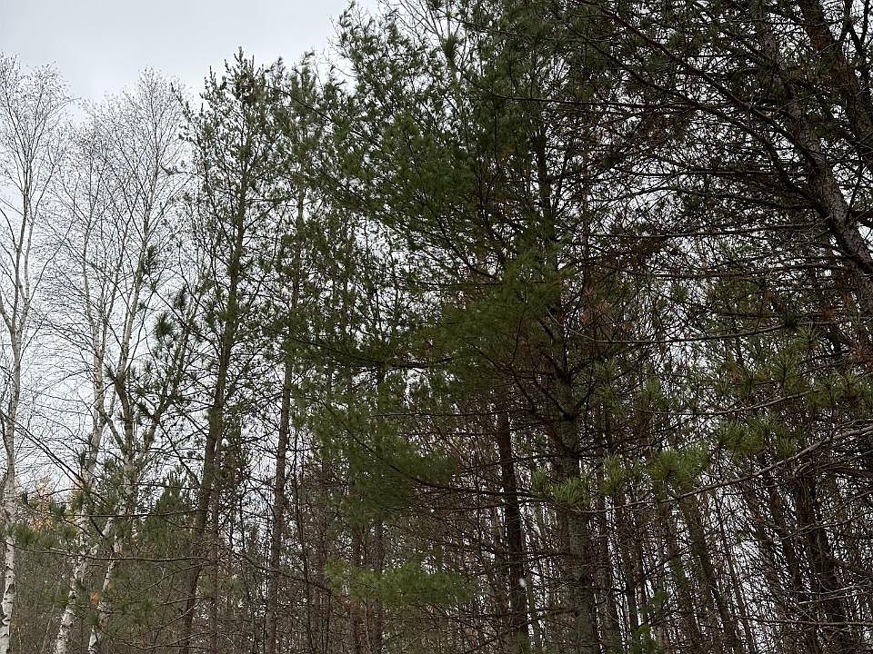 2nd image of Swamp Lake Rd #4069-18