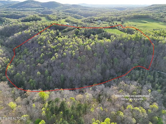 5th image of 171 Gooseneck Ln