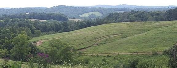 2nd image of 30227 Township Road 209