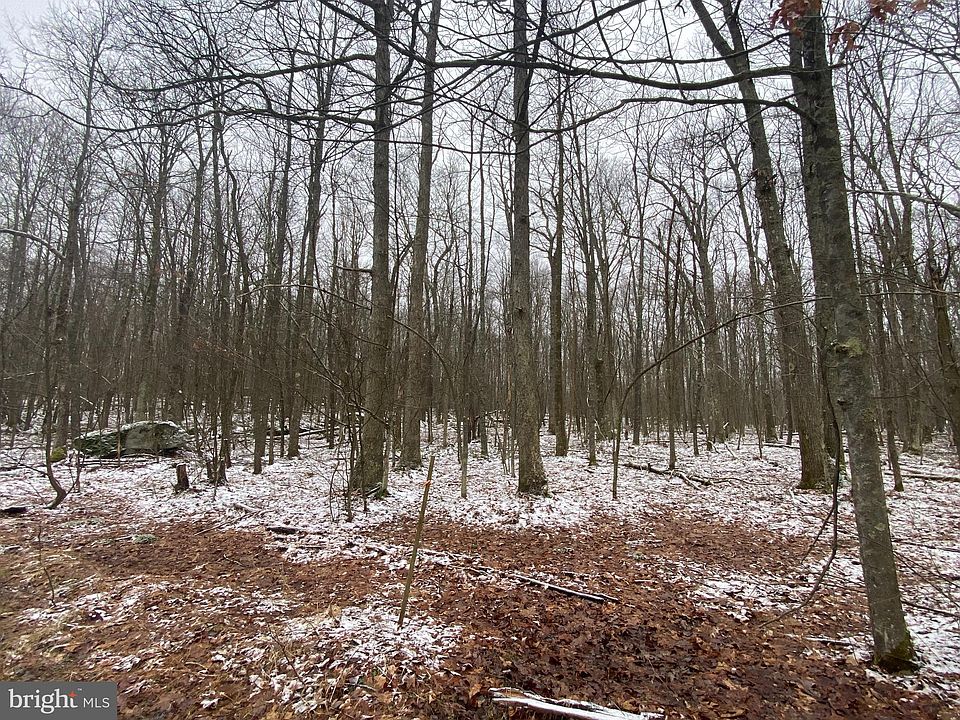 1st image of Elm Dr