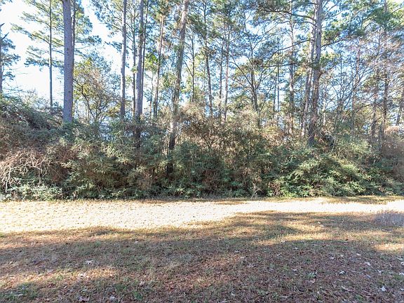 3rd image of 137 Pine Branch Dr