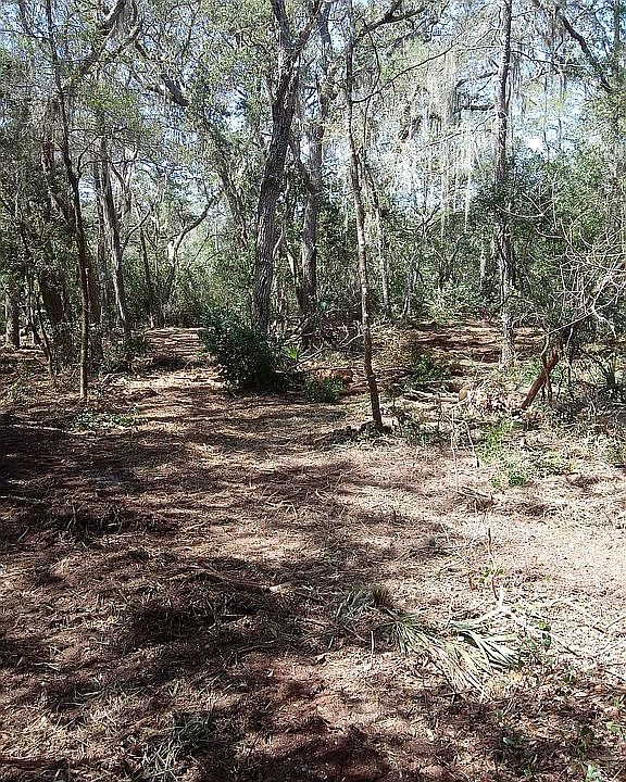 2nd image of 118 Knight Dr