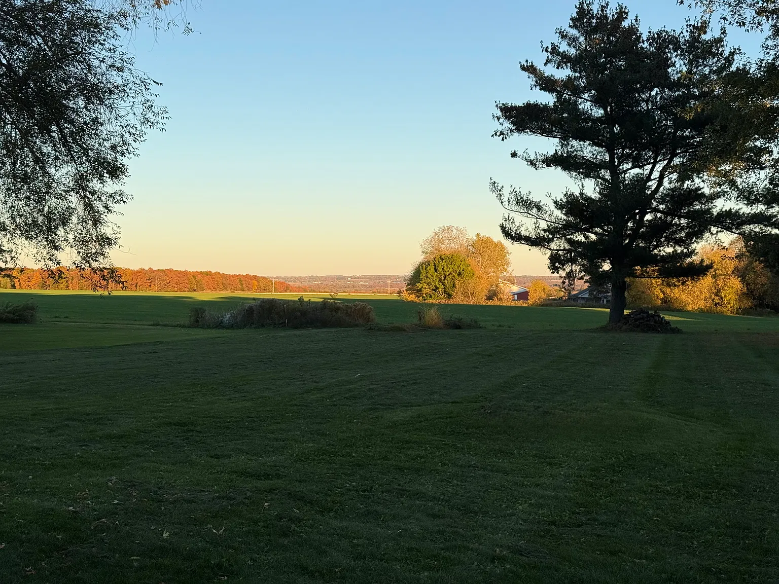 3 bed, 1150 sqft, $2,200 — Photo 4