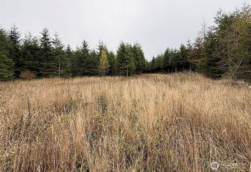3rd image of 19 xx Bunker Creek Road