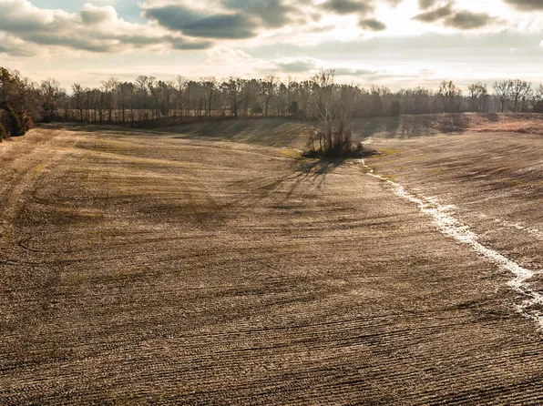 0 Ernest Paschall Rd, Dyer, TN 38330