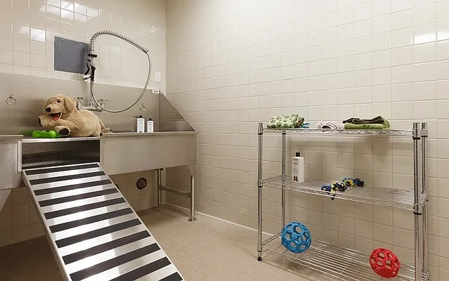 Rented by Lisa Management | media 20