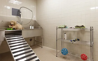 Rented by Lisa Management