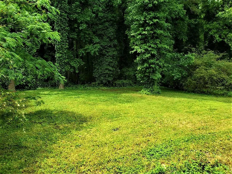 South Atlanta — Photo 2