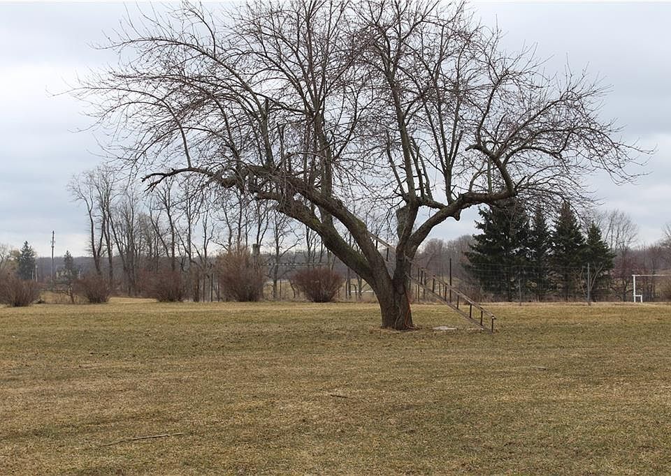 2nd image of 575 Root Rd