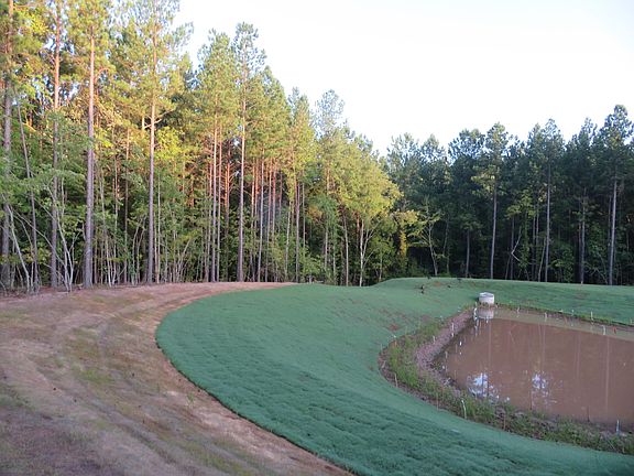 view from balcony (not completely seeded yet)