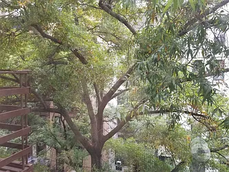 Rented by Domus Realty