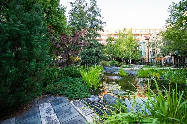1330 W Monroe St #204 — Photo 19